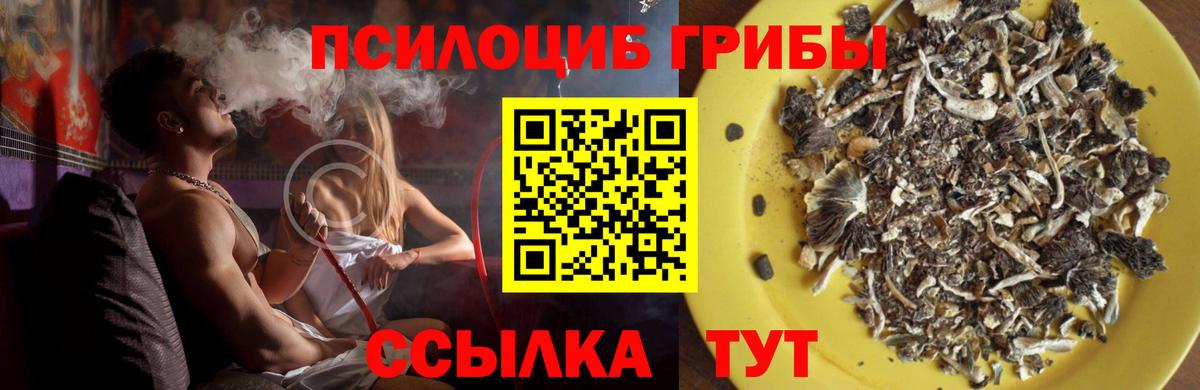 Дубна  Псилоцибиновые грибы Psilocybine cubensis  Вход с VPN 